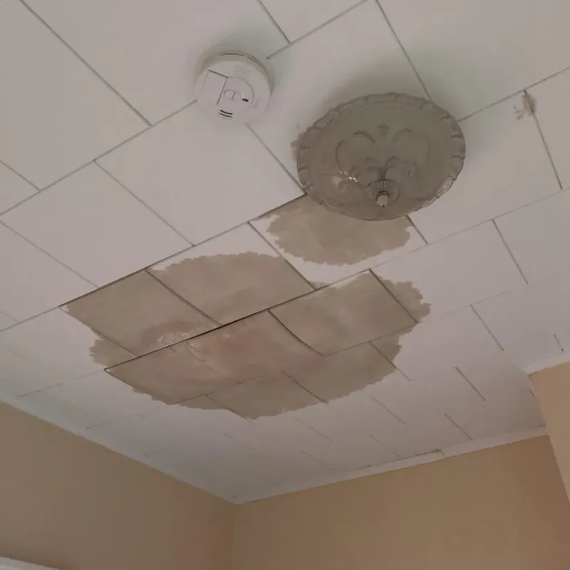 Ceiling Water Damage Repair in Brown County, IN