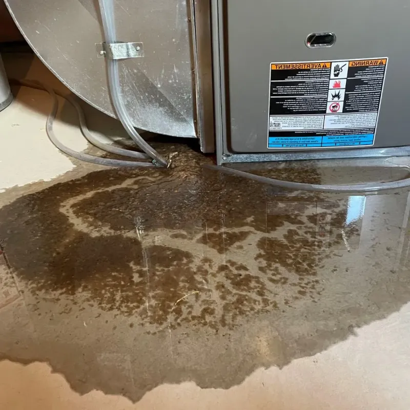 Pipe Burst and Leak Restoration in Brown County, IN